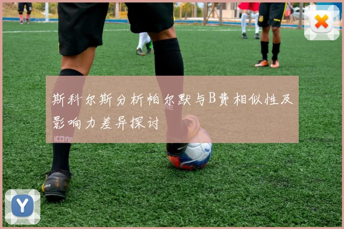 斯科尔斯分析帕尔默与B费相似性及影响力差异探讨