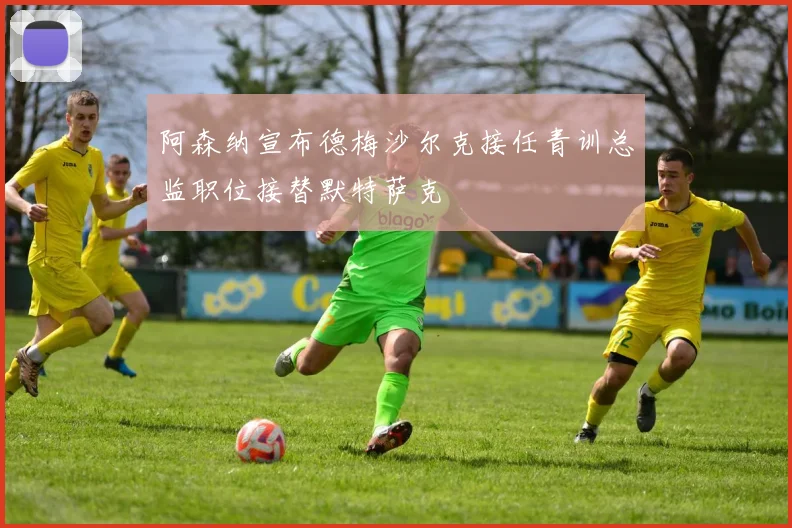 阿森纳宣布德梅沙尔克接任青训总监职位接替默特萨克