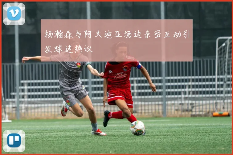 杨瀚森与阿夫迪亚场边亲密互动引发球迷热议