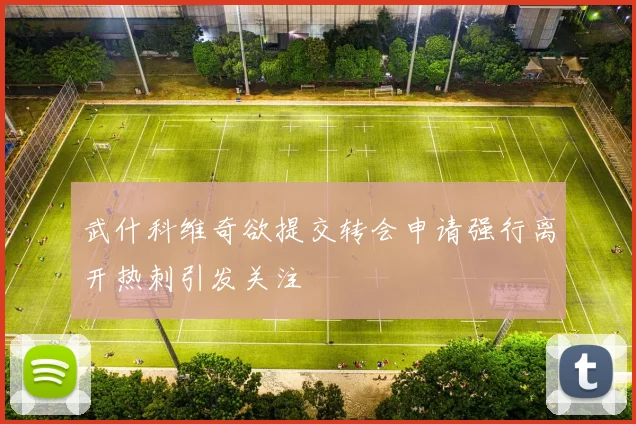 武什科维奇欲提交转会申请强行离开热刺引发关注